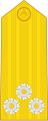 Vice Admiral (Phon Ruea Tho) (הצי המלכותי התאילנדי)