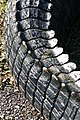 Tail of an alligator in Everglades National Park, Florida, USA