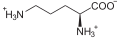 Deutsch: Struktur von L-Ornithin English: Structure of L-ornithine