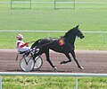 * Nomination: Français : Hippodrome de la Durance à Cavaillon, Vaucluse --Marianne Casamance 06:16, 26 February 2013 (UTC) * * Review needed