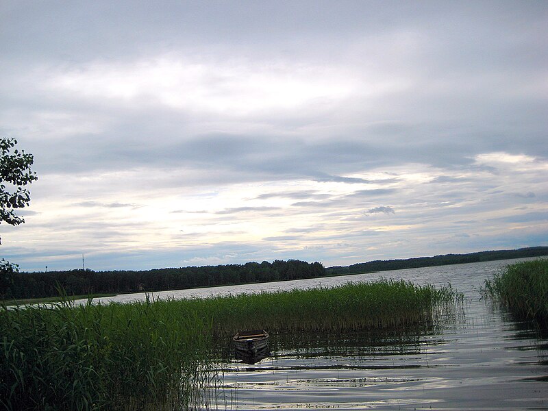 File:1783. Braslav. Lake Drivyaty.jpg