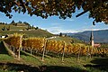 Termeno in autunno - vista da sud