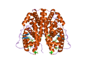 2g44: Human Estrogen Receptor Alpha Ligand-Binding Domain In Complex With OBCP-1M-G and A Glucocorticoid Receptor Interacting Protein 1 NR Box II Peptide