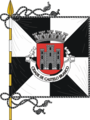 Bandeira de Castelo Branco