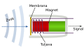 szlovén .svg