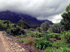 Tafelberg sigbaar in die agtergrond met die kombers van wolke oor.