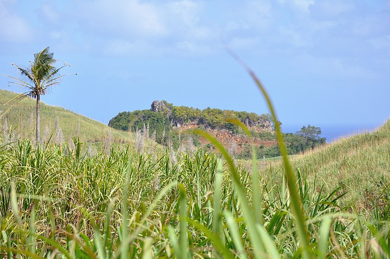 File:Mauritius 23.08.2009 09-07-52.jpg