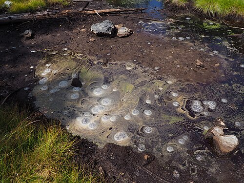 Gas emissions in the natural monument Sirňák in the PLA Slavkovský les Photograph: User:Jan David Reitschläger