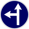 Go straight or turn left