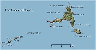 Carte des îles Snares