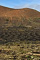 * Nomination Vineyards in the La Geria region of Lanzarote, Canary Islands, Spain. --Nikodem Nijaki 09:14, 13 March 2013 (UTC) * Promotion Good quality. Maybe just a little bit softer in the corners. --D4m1en 10:56, 13 March 2013 (UTC)