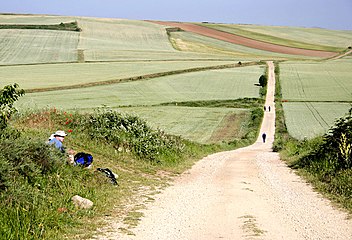 st. james way between ciruena and st. domingo de la calzada