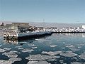 Ice floes in the port of Miquelon