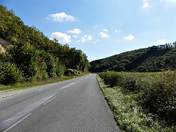 La RD 62 à Borrèze, en vallée de la Borrèze, à l'ouest du lieu-dit la Pouyade. Les coteaux sur la droite font partie du territoire de Salignac-Eyvigues.