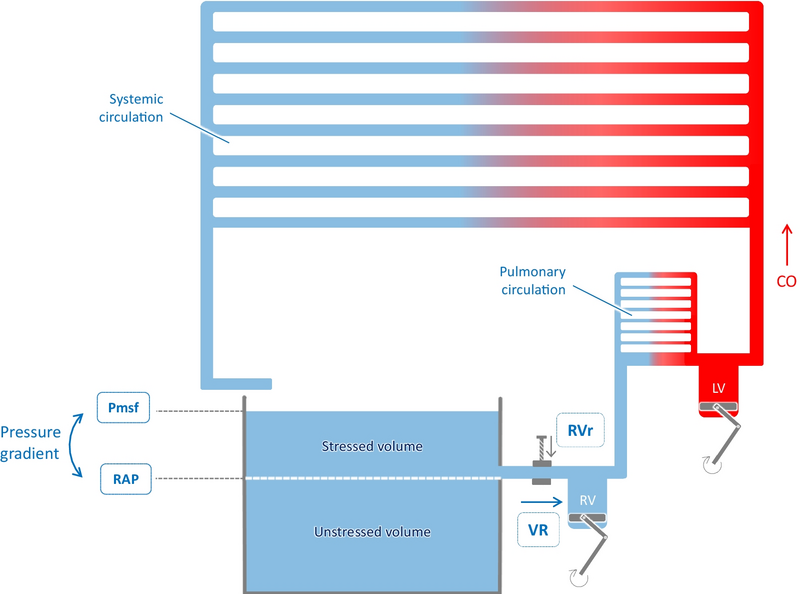 File:Fig1 Persichini2022 CritCare.png