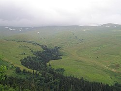 A Lagonaki-fennsík részlete. Nyugat-Kaukázus, Adigeföld