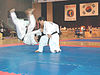 Hapkido5.jpg