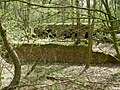 Ruines sur le site de l'ancien hôpital du camp de Blechhammer nord