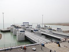 Terminal ferries.