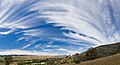 Nori cirrus fibratus şi uncinus, Victoria, Australia