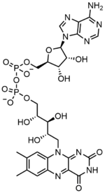 Stereo, Kekulé, skeletal formula of FAD