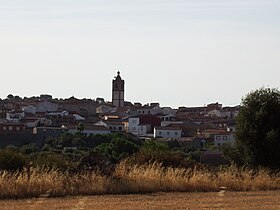 Lagartera