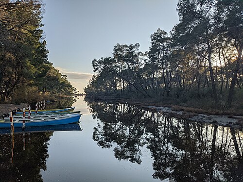 Divjak National Park - Karavasta. Photograph: Olachemistry