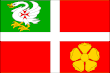 Vlag