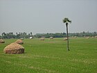 Medak district