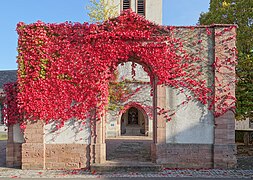 Église Sainte-Brigitte (Mittelwihr) (1)