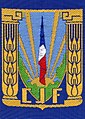 insigne du CJF (1er modèle) bleu.