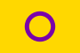 Intersex pride flag