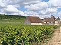 Vinmarker - Château du Clos de Vougeot