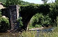 El puente de la rabia (Le pont de la rage) à Zubiri.