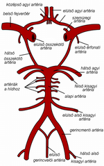 Agyalapi artériás gyűrű