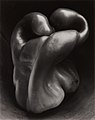 Image 37Pepper No. 30, by Edward Weston (edited by Bammesk) (from Wikipedia:Featured pictures/Artwork/Others)