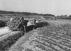 Photo d'un champ bordé d'une route où passent des engins agricoles.