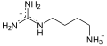 Deutsch: Struktur von Agmatin English: Structure of agmatine