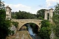 As a support for the Pont Flavien across the River Touloubre in Saint-Chamas, Bouches-du-Rhône, France (2008)