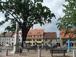 Skyline of Uebigau-Wahrenbrück