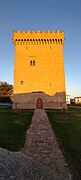 Torre palaciana