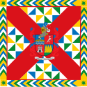 Vidángoz - Bandera