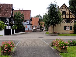 Skyline of Kauffenheim