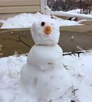 Mini snowman with baby carrot for a nose, raisins for eyes, and twigs for arms