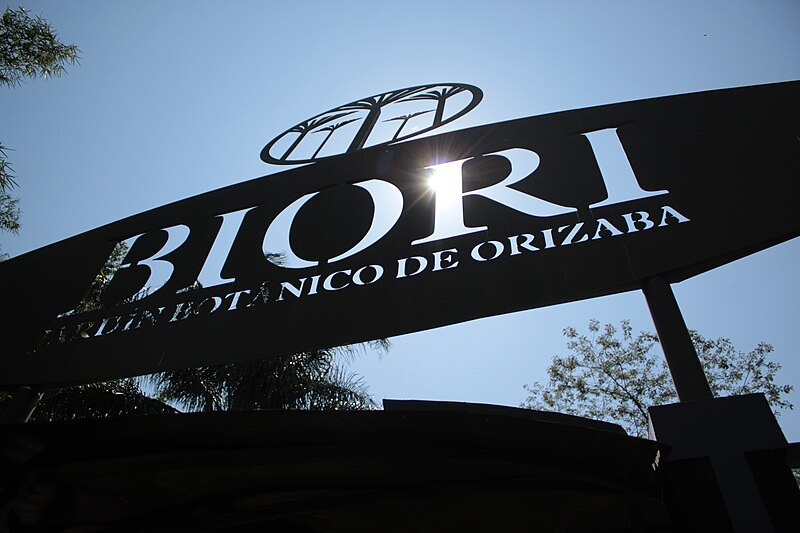 File:BIORI 08.jpg