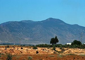 Jebel ech Chambi