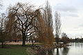 Vue des arbres bordant le lac Kir