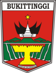 Bukittinggi City