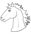 Tête de cheval