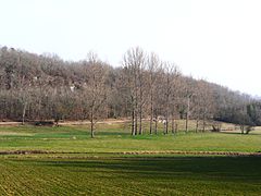 Le vallon de la Sandonie à Paussac-et-Saint-Vivien.